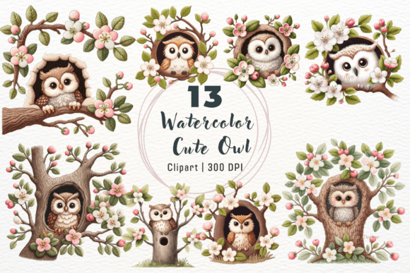 Download Watercolor Cute Owl Clipart - Premium Resources